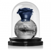 Perfume Thouq de Lattafa - Imagen 2